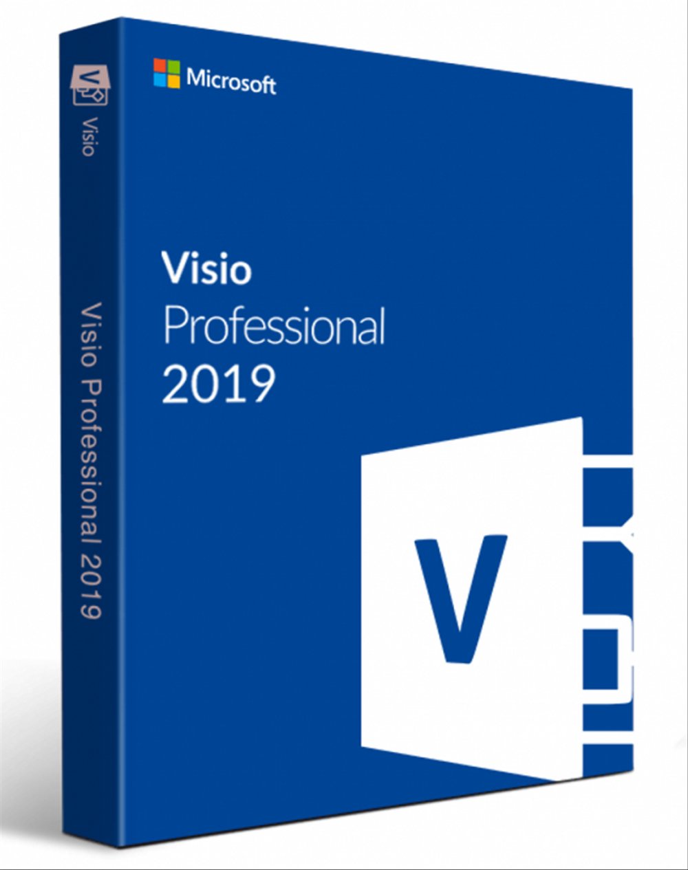 Microsoft Visio 2019 Professional SNGL OLP NL