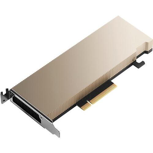 PNY NVIDIA A2 Graphic Card - 16 GB GDDR6