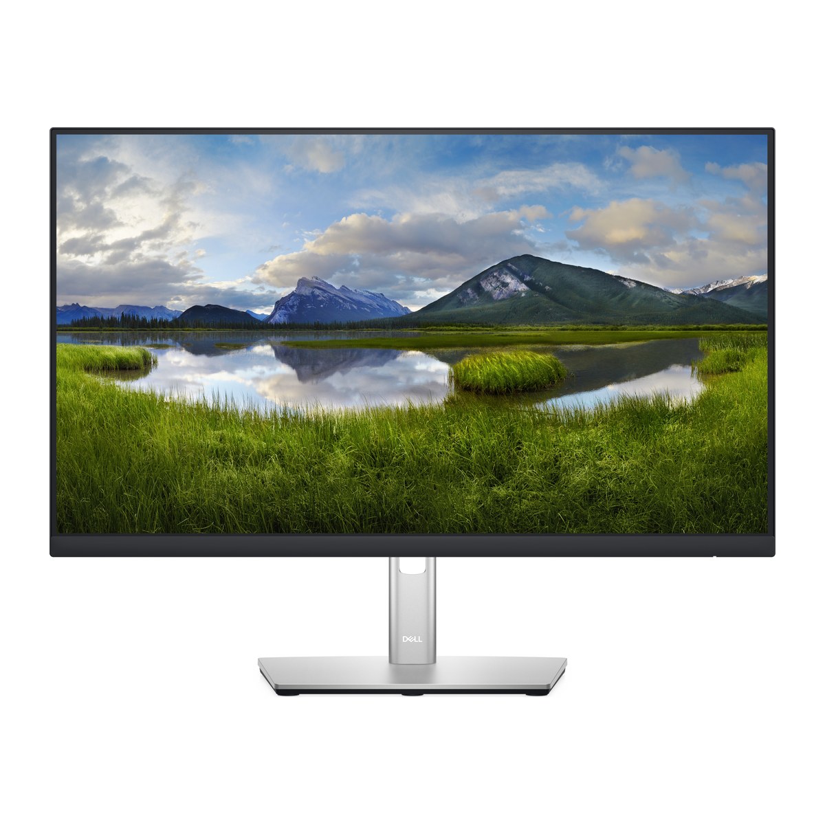 Dell Monitors