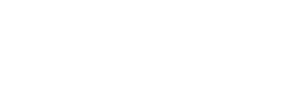 PNY logo