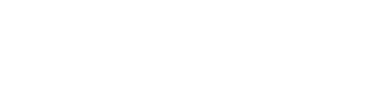 Zebra logo